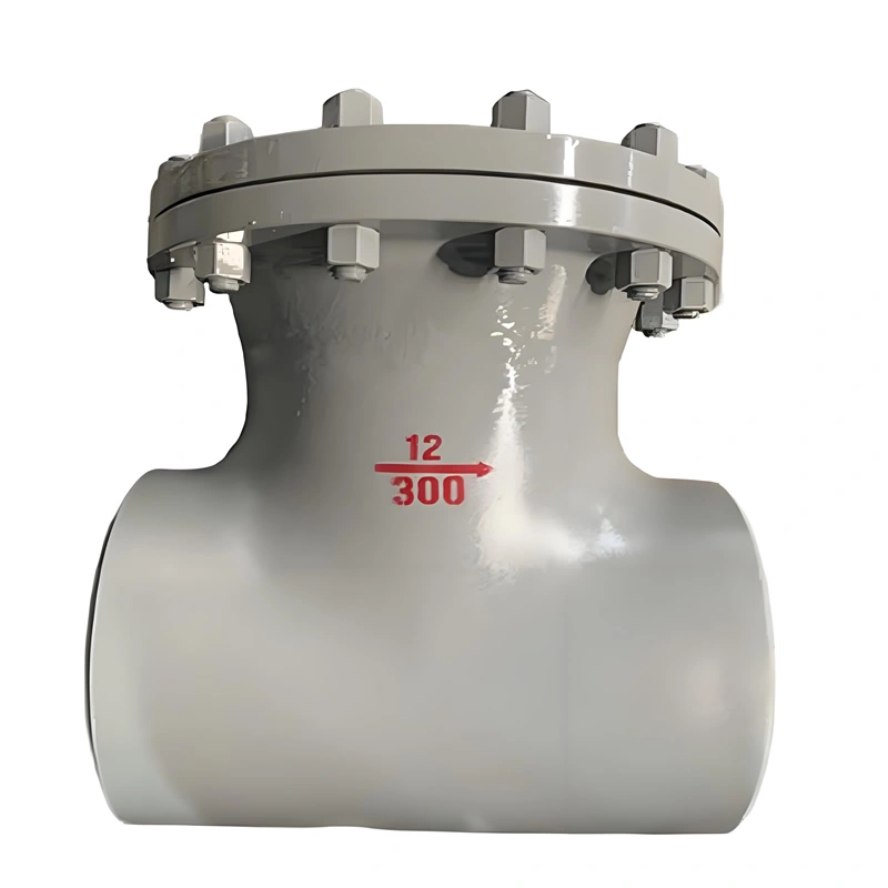 DN350 WCB/CF8 Cast Butt Welded T-Type Strainer Filter