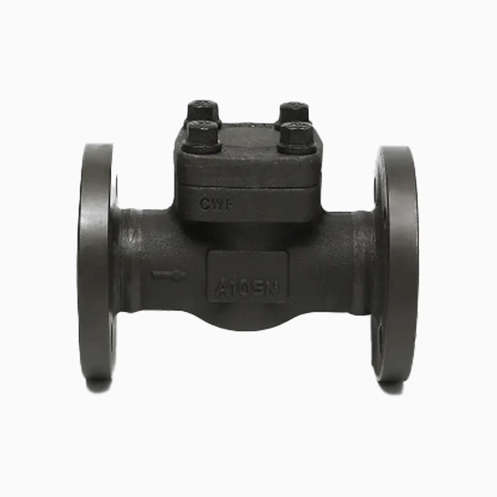 チェックバルブ - TIANYU VALVE チェックバルブ - TIANYU VALVE