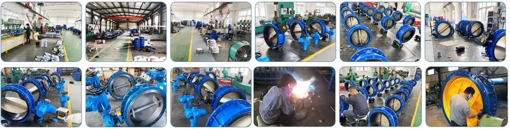 Concentric Soft Seal Butterfly Valve