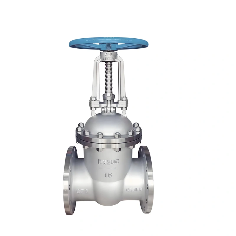 304 Stainless Steel Rising Stem Flanged Gate Valve