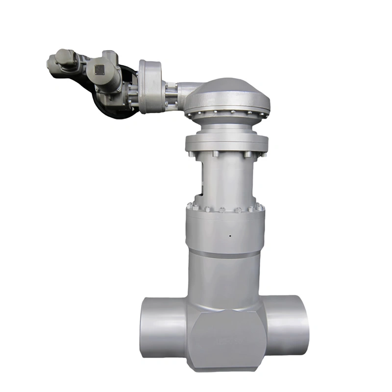 API 600 Pressure Seal Gate Valve