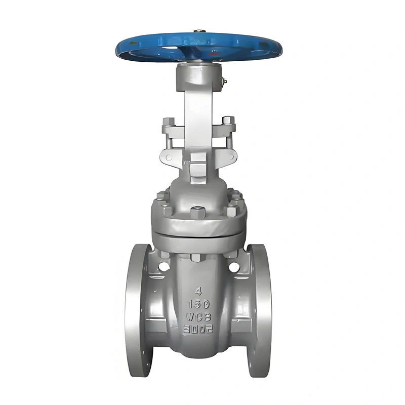 SS304 Stainless Steel Two Ways ANSI Solid Wedge Gate Valve Flange Cast Iron Manual Gate Valve Control Valve
