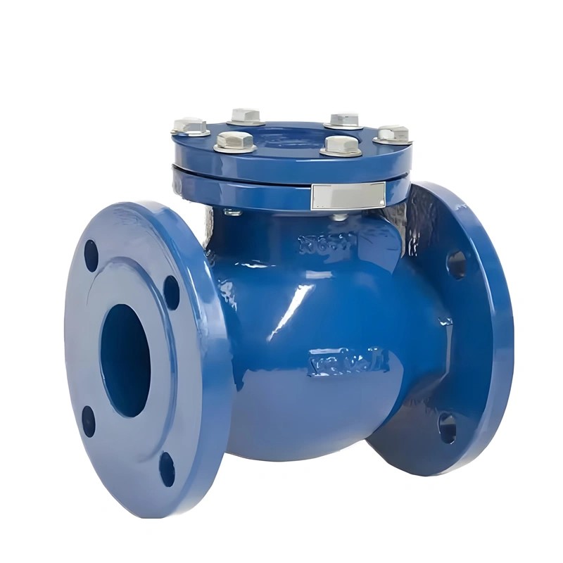 Flanged Cast Steel Swing Check Valve