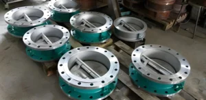 Dual Plate Check Valves