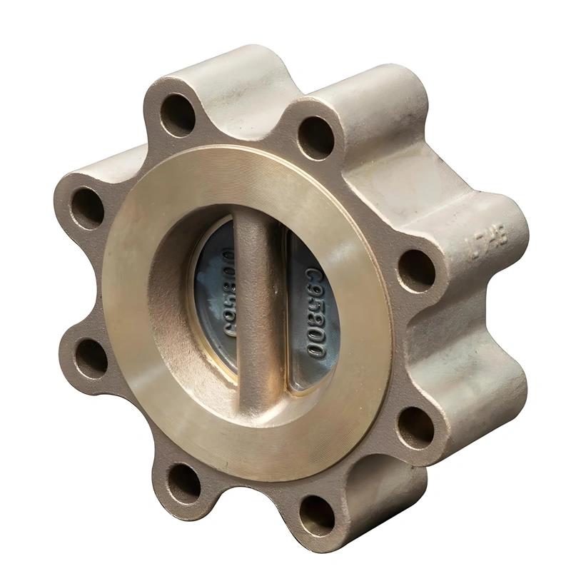 C95800 Double Plate Aluminum Bronze Lug Type Swing Check Valve