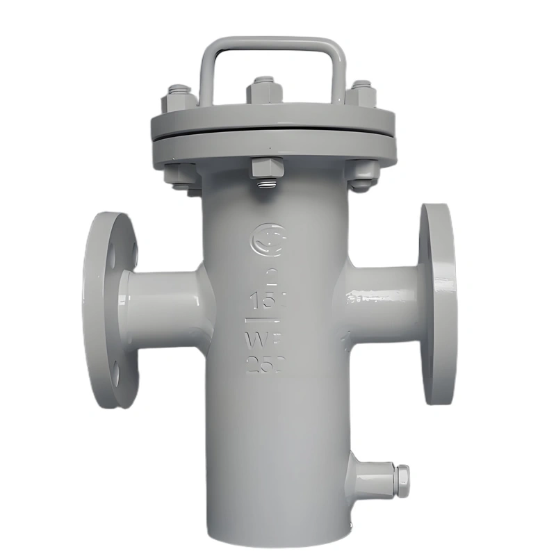 ASTM 2” 150LB WPB RF Flange Basket Strainer