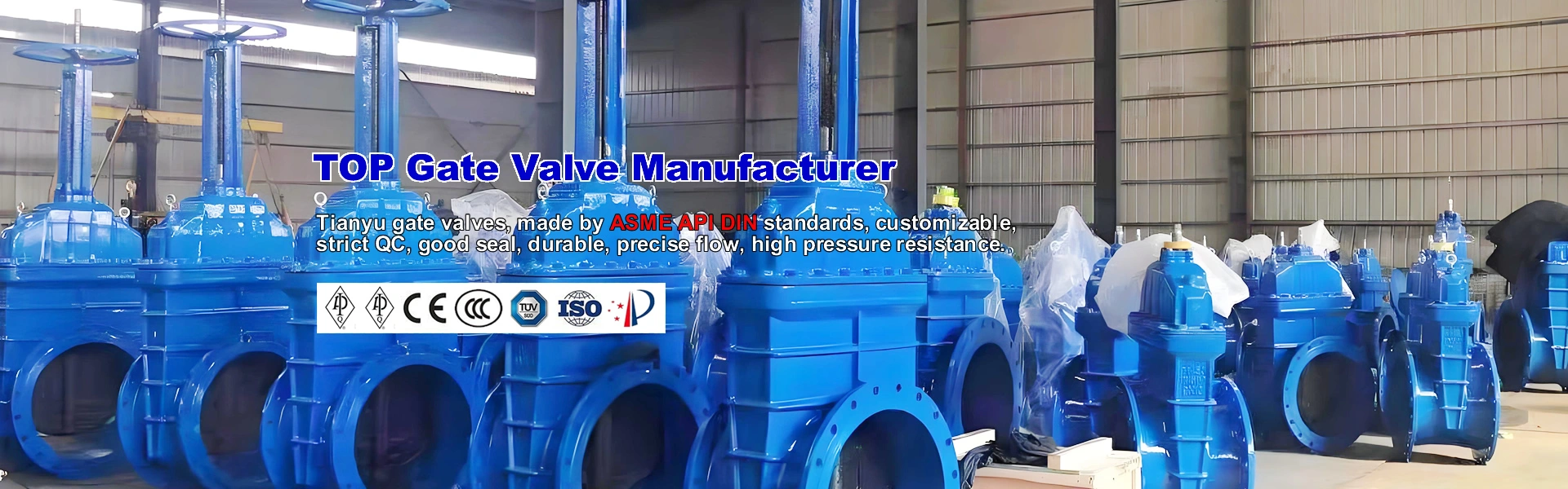 Gate valve Manufacturer