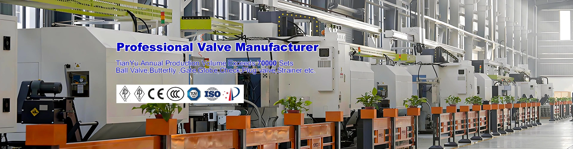 Professional Valve Manufacturer