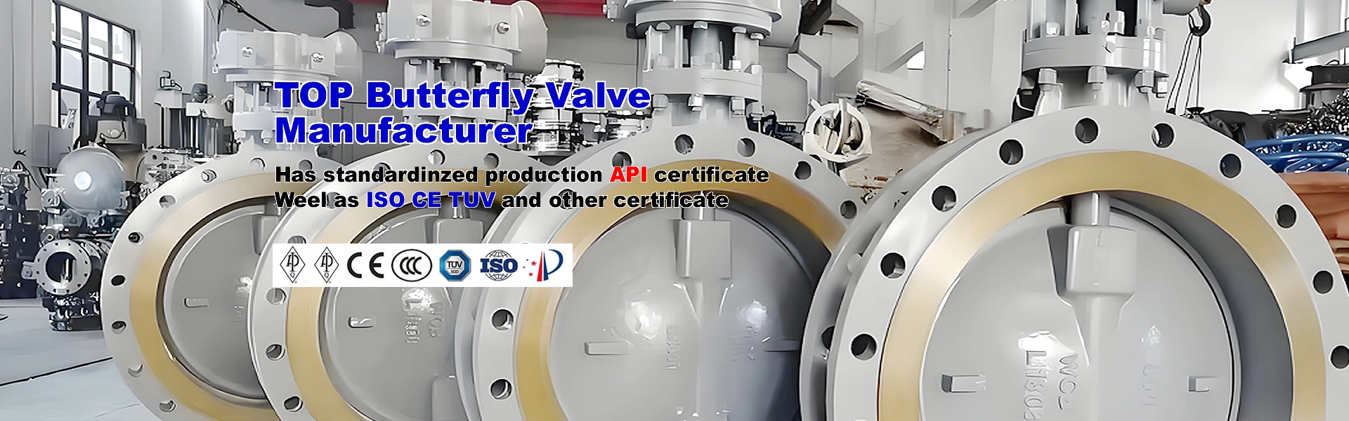 Butterfly valve manufacturer