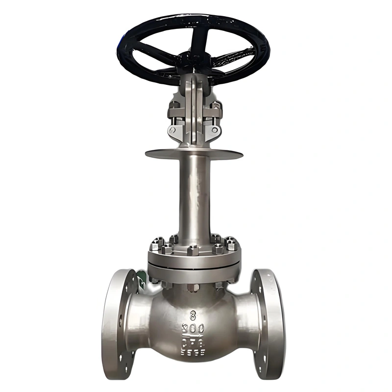 Stainless Steel High-Pressure Cryogenic Globe Valve with Flange Connection for LNG, LOX, Petrochemical Applications