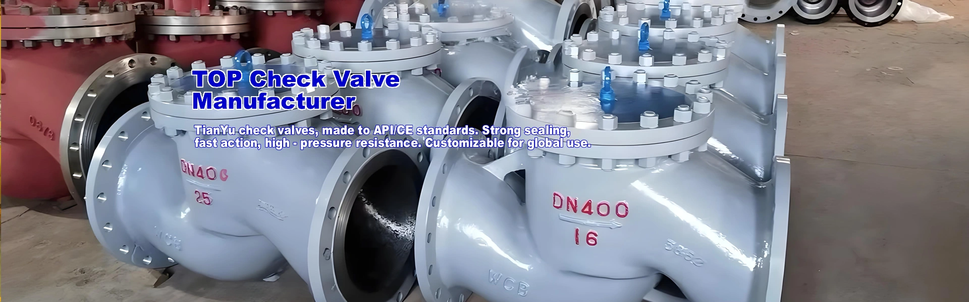 Check Valves Manufacturer