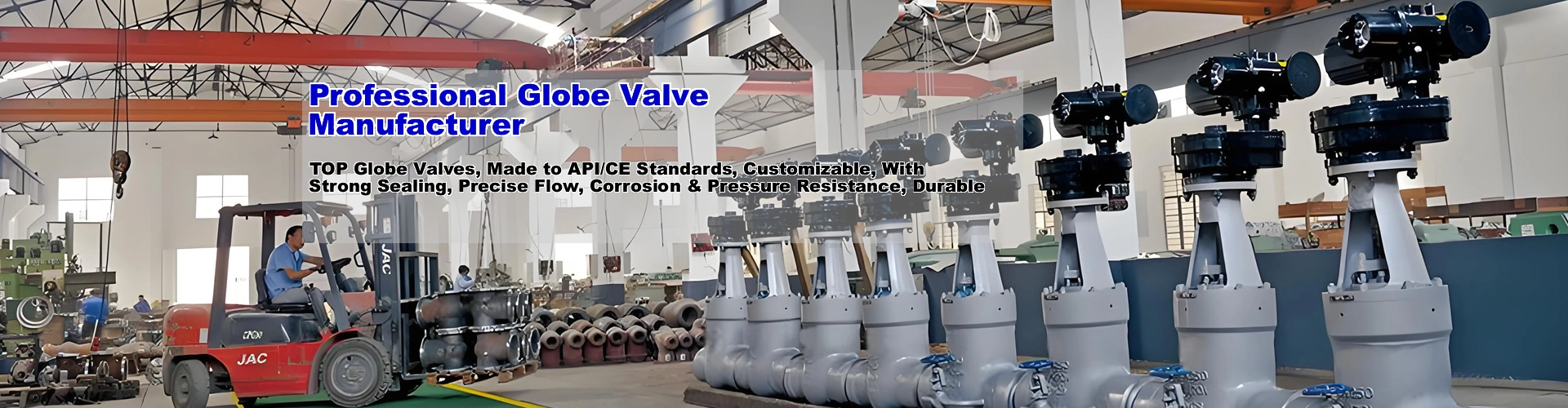 Globe valve Manufacturer
